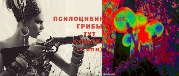 хмурый Белоозёрский